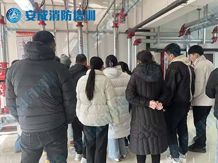 近期学员在上实操课